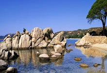 竞技宝-TheShy新星势不可挡表现惊艳，TES未来可期！的简单介绍